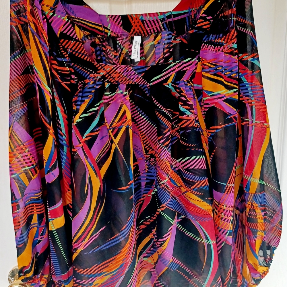 Plus Size Colorful Sheer Blouse
